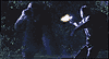 www.flickerscope.com